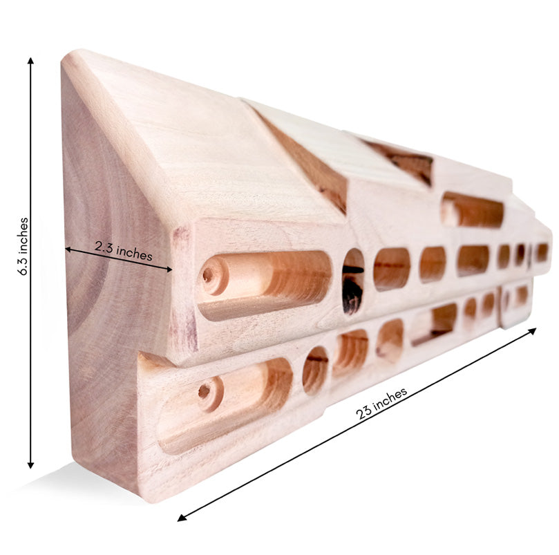 GRACIEUX FINGERBOARD X1X - Stepin Adventure #