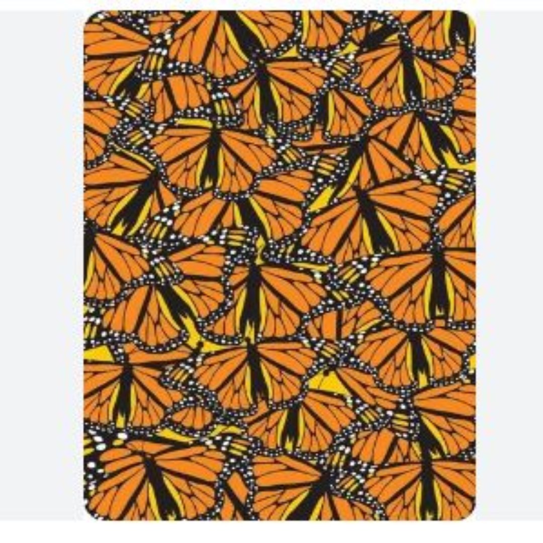 4FUN COOLMAX MONARCH - Stepin Adventure #