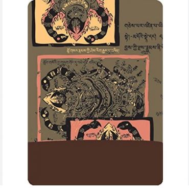 4FUN -POLARTEC TIBETAN SCORPIO/BROWN - Stepin Adventure #