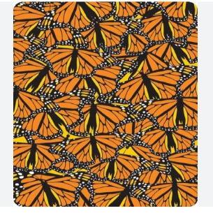 4FUN -POLARTEC -YELLOW -BUTTERFLY - Stepin Adventure #