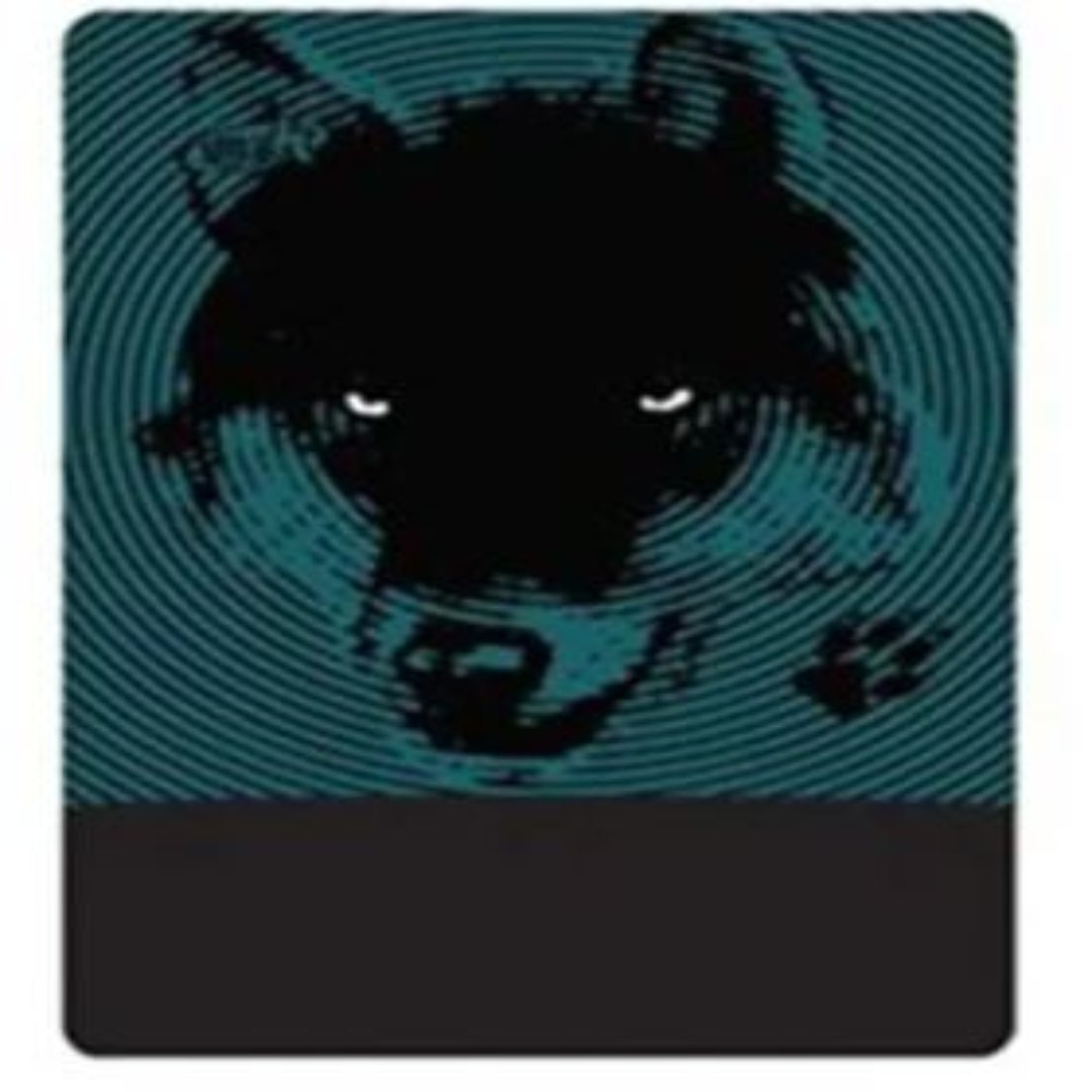 4FUN MULTIFUNCTIONAL SCARF POLARTEC RAPANUI/FOX - Stepin Adventure #