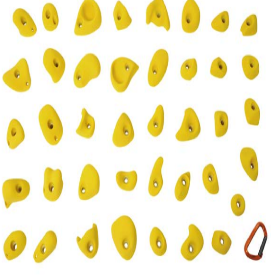 EP PEDAGOGS 40 holds features