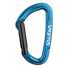 SALEWA HOT G3 STRAIGHT CARABINER-BLUE
