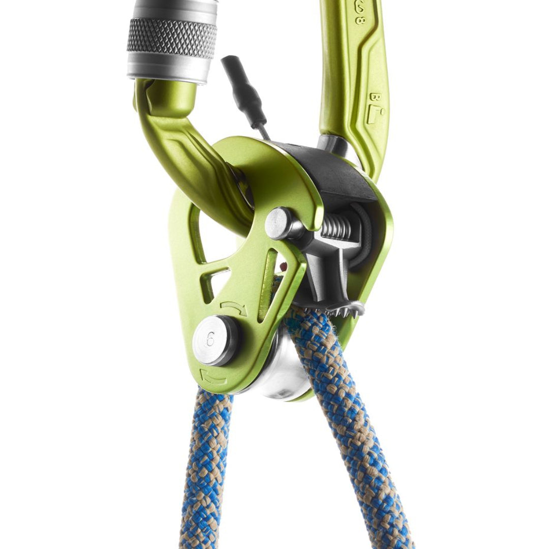 EDELRID SPOC OASIS ASCENDER