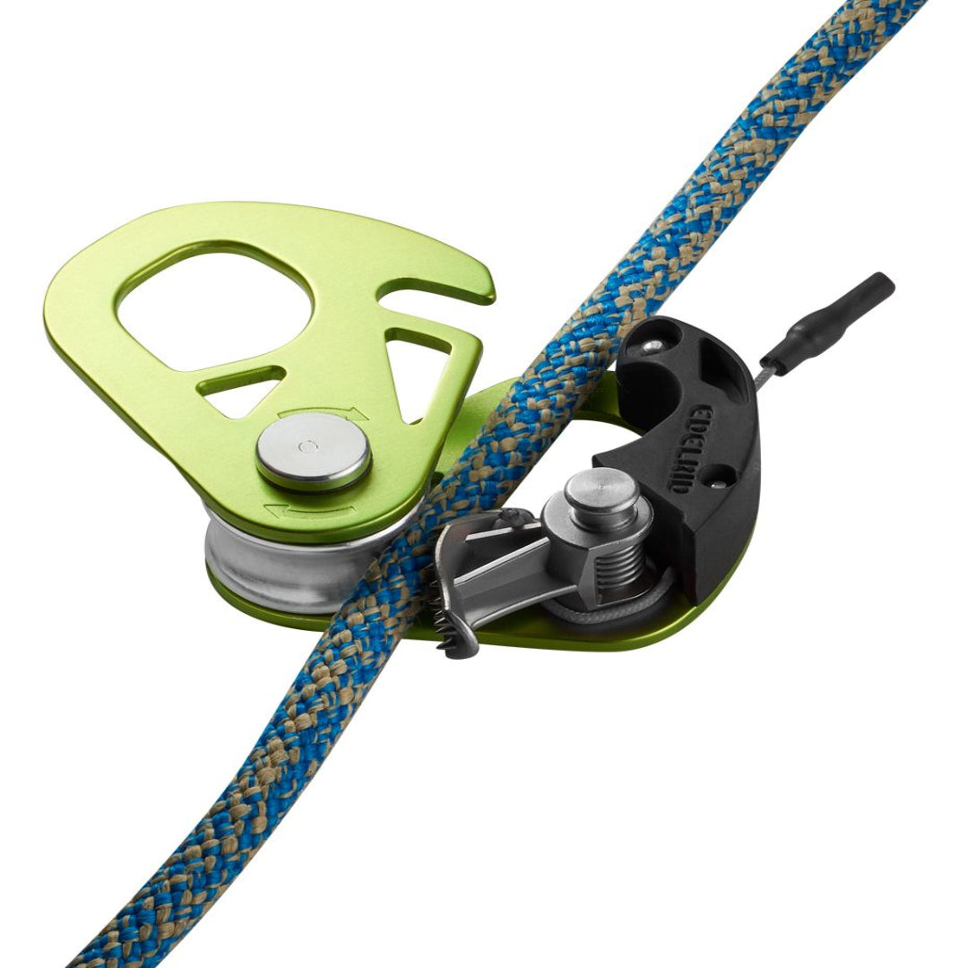 EDELRID SPOC OASIS ASCENDER