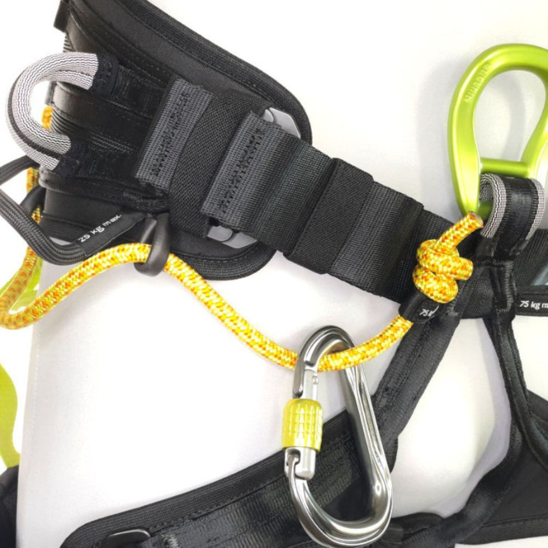 EDELRID Vector Hip Life Belt