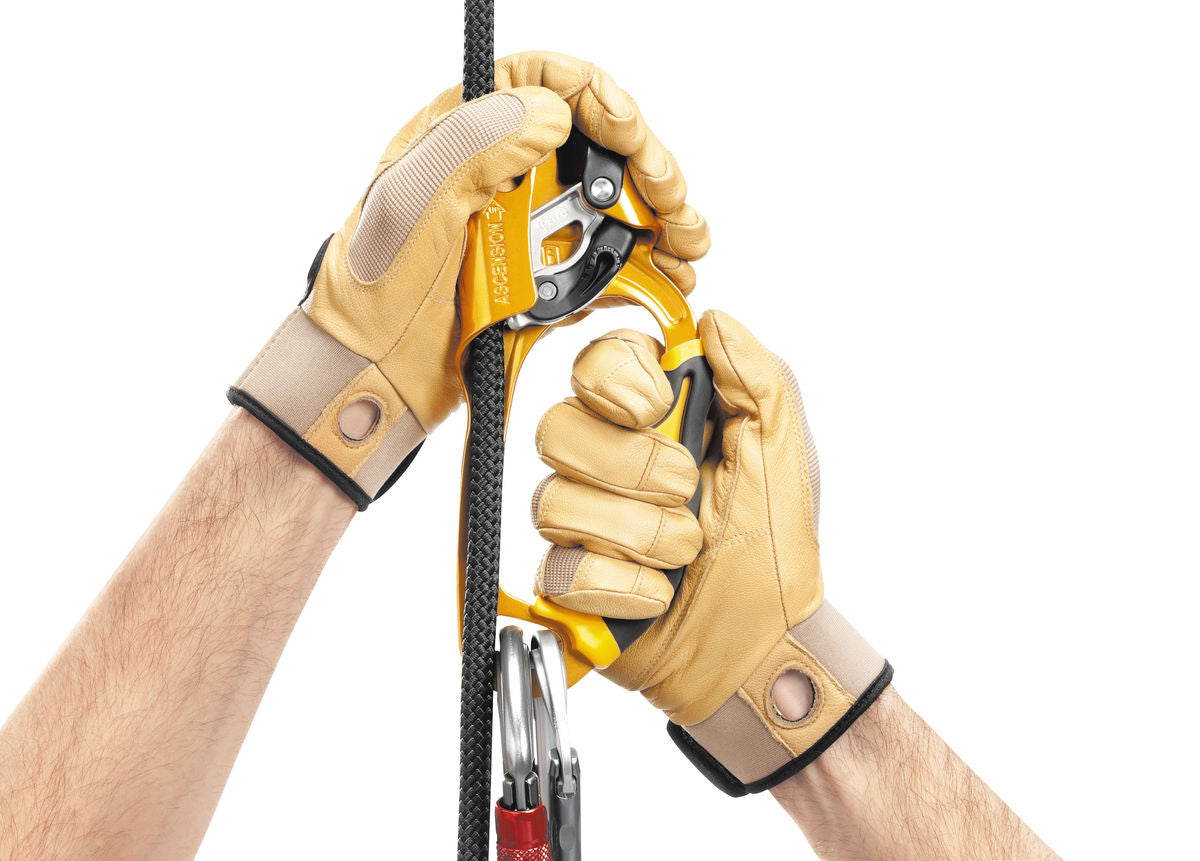 PETZL ASCENSION RIGHT - Stepin Adventure #