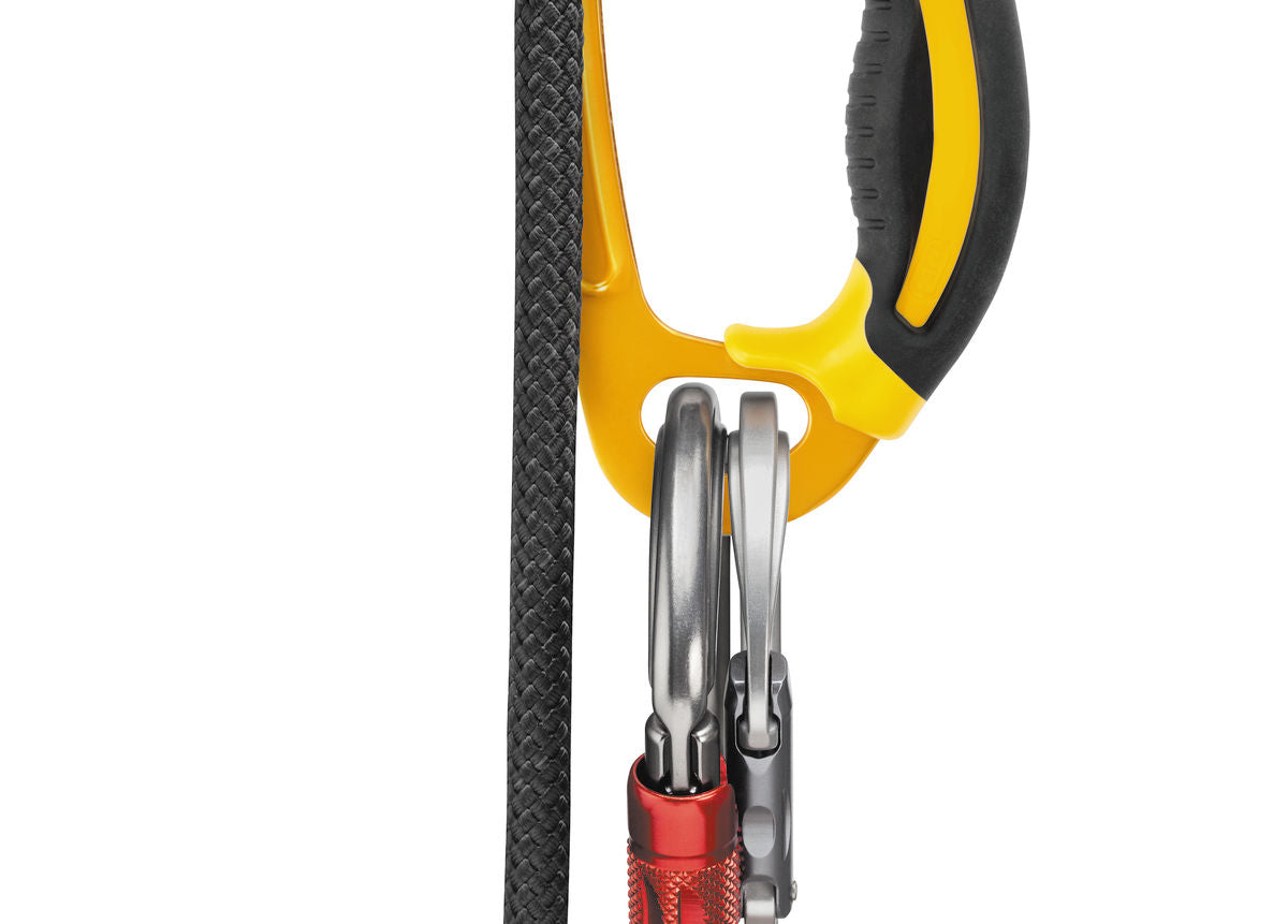 PETZL ASCENSION RIGHT - Stepin Adventure #