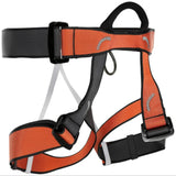 CAMP  GROUP III CLIMBING HARNESS - Stepin Adventure #