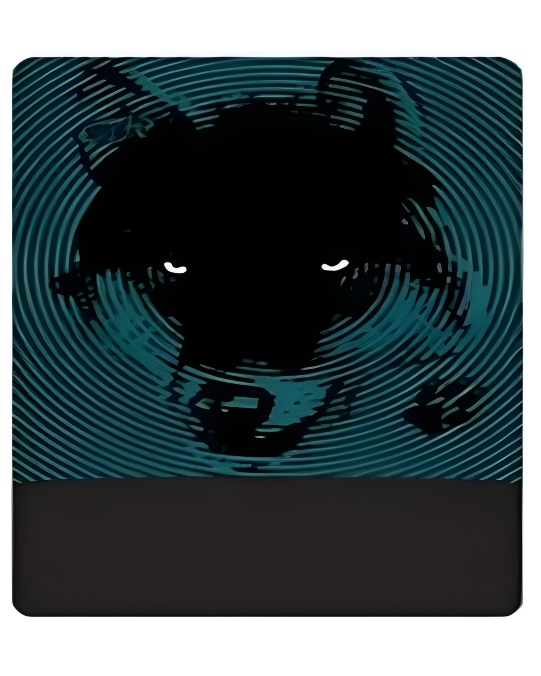 4FUN MULTIFUNCTIONAL SCARF POLARTEC RAPANUI/FOX