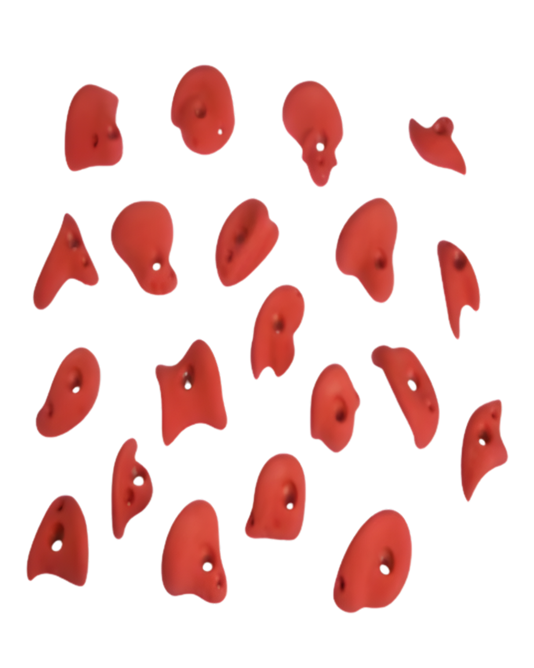 ENTRE - PRISES  KIDS 2 SET OF CLIMBING HOLDS